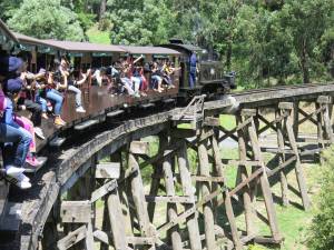 25jan14 cronuts puffing billy  015