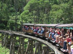 25jan14 cronuts puffing billy  017