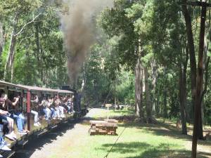 25jan14 cronuts puffing billy  024