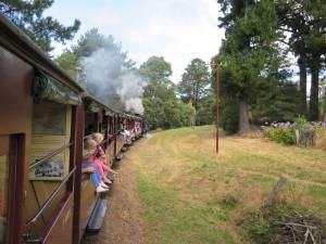 25jan14 cronuts puffing billy  036