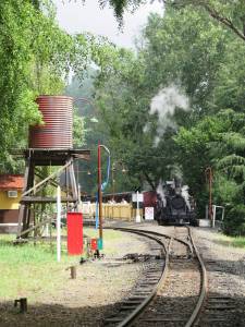 25jan14 cronuts puffing billy  045