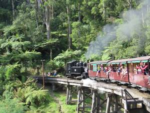 25jan14 cronuts puffing billy  054