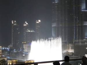Dubai 4 Feb14 059
